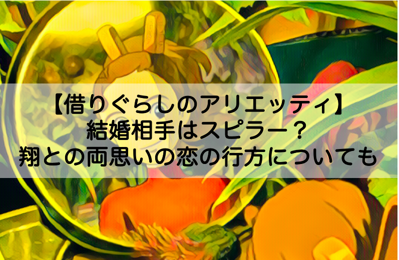 借りぐらしのアリエッティ その後の結婚相手はスピラー 翔との両思いの恋の行方についても Shokichiのエンタメ情報labo