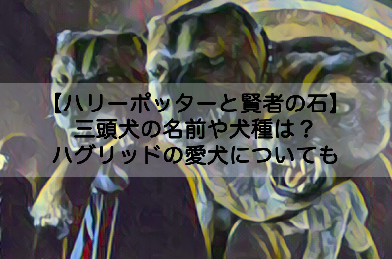 賢者の石 三頭犬の犬種や名前の意味は ハグリッドの愛犬ファングについても Shokichiのエンタメ情報labo