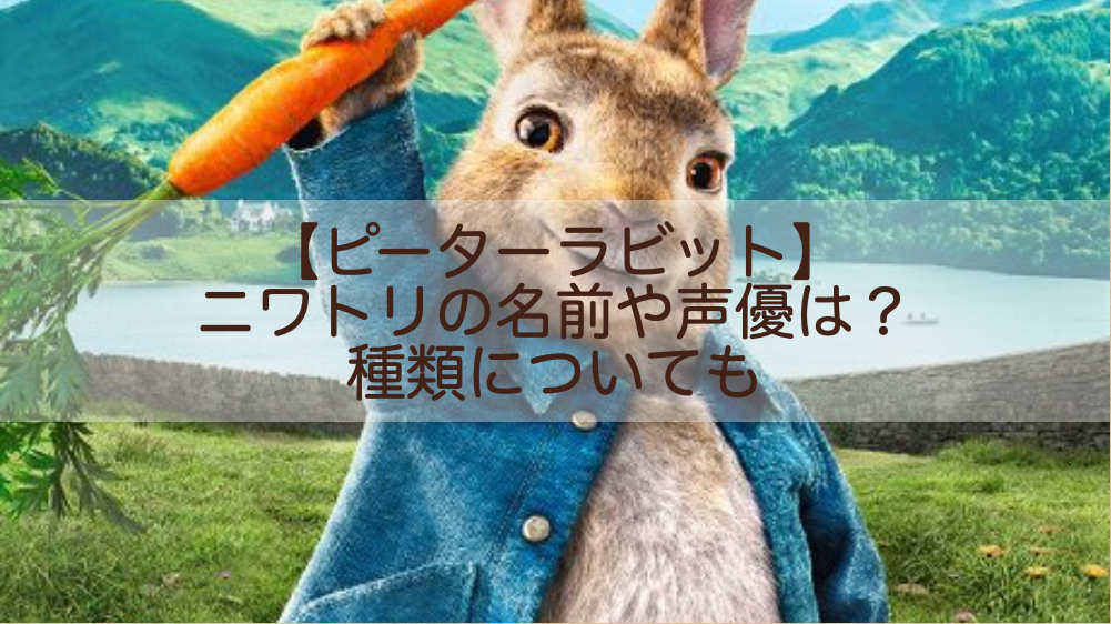 ピーターラビット ニワトリの名前や声優は 種類についても Shokichiのエンタメ情報labo ピーターラビット ニワトリの名前や声優は 種類についても Shokichiのエンタメ情報labo