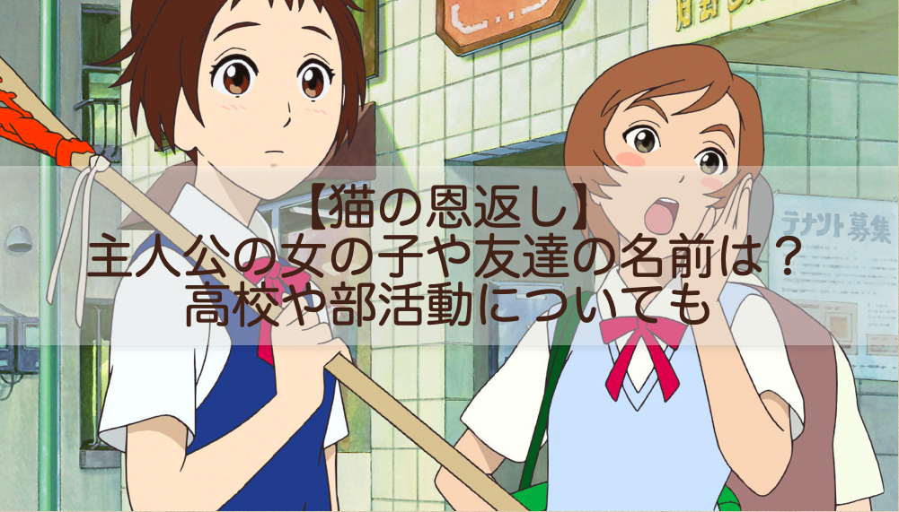 猫の恩返し 主人公の女の子や友達の名前は 高校や部活動についても Shokichiのエンタメ情報labo